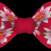 SchlSeeroserosee
