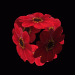 cubeBlume1