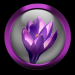 WS2 03 4 Glasbutton12