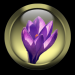 WS2 03 4 Glasbutton13