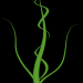 WS2 03 6 Gras2