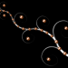 WS2 03 7 Zweig4