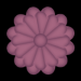 WS2 06 4 Blumenpfade2