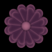 WS2 06 4 Blumenpfade3