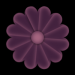 WS2 06 4 Blumenpfade4
