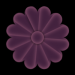 WS2 06 4 Blumenpfade5