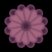 WS2 06 4 Blumenpfade7