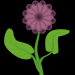 WS2 06 4 Blumenpfade9