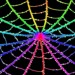 Spidernetz2