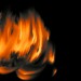 Tehalonsfeuer