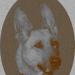 TestSepia