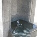 Wasserhahn