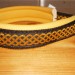 V Halsband