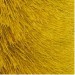 ga 01