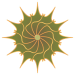 blume06