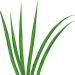gras02
