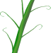 gras03a
