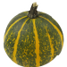 pumpkin03 kleber