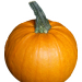 pumpkin04 kleber