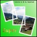rahmenbild
