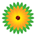 WS4-01-bild04