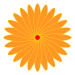 WS4-01-bild09
