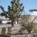 Nevada1