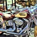 Harley-HDR