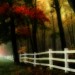 Wald-Orton Effekt