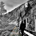 CIMG0398 (2)-dave hill-2