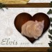elvis herbst 800x607by
