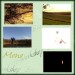 award-mono