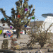 area6