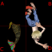 quadrantc