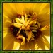 DSCN0526