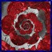 drost