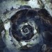 droste1