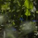 licht2 (1 von 1)