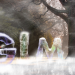 icedr