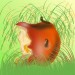 apfel