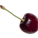 farbausw2
