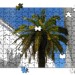 render10