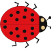 scrib16