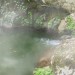 nebel2