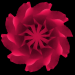 BlÃ¼te5
