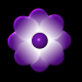 Blume2