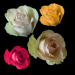 Rosen