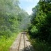 wald