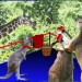 kangarooboxing