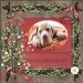foster1